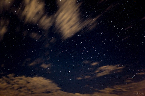 Starry, Starry Night