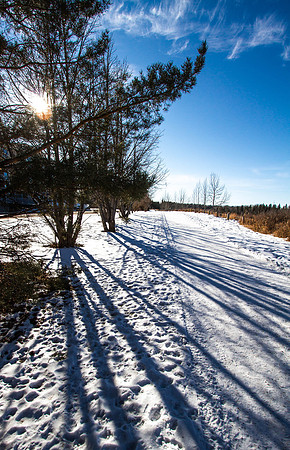 Day 37 - Feb 6: A Path Well Trod