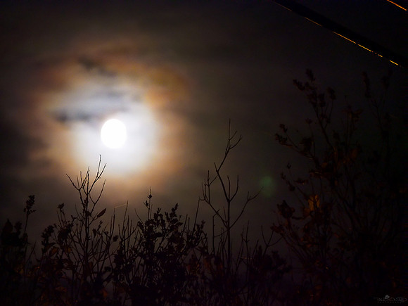 When It's Too Cloudy for a Moon Shot