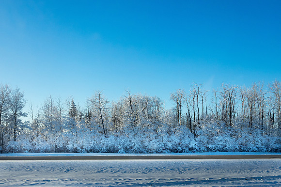 A Brisk Roadside