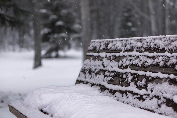So, No Lunch on the Bench Today