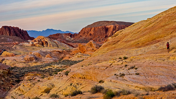 In the Valley of Fire