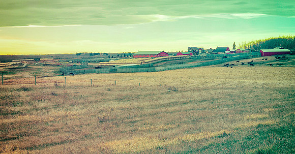 A Day in the Country