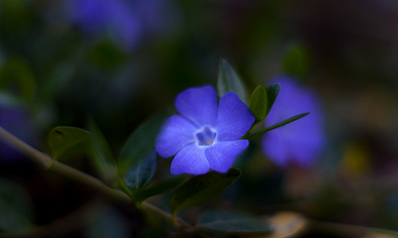 A Little Sunshine
