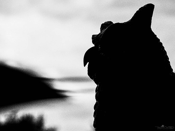 The Sentinel