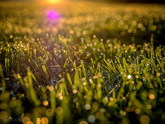 Happy Thursday, How Dew!?!?