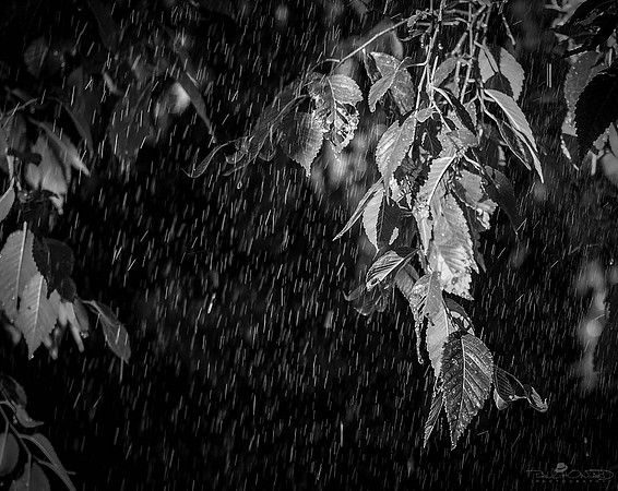 Seems Like It's Rainin' All over the World