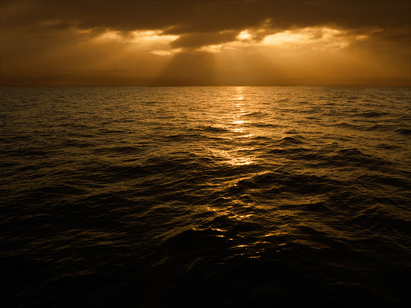 Hawaiian Horizon