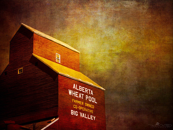 Big Valley Elevator