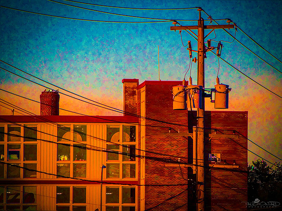 Powerlines in the Morning