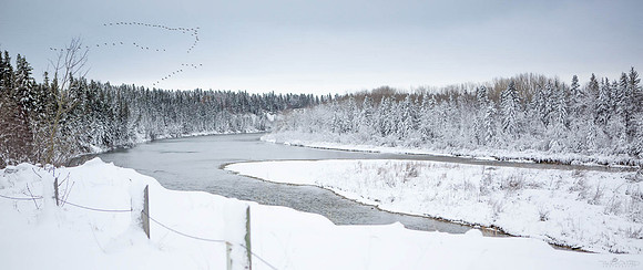 Red Deer River