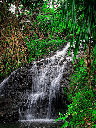 Kauai - 2