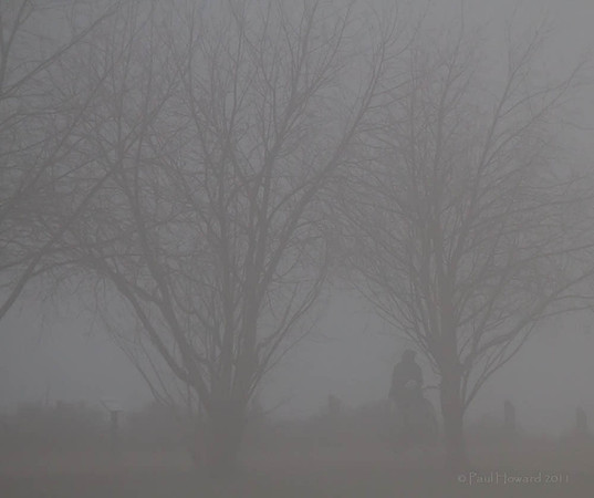 Foggy Spring Morn