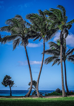 Kauai -1