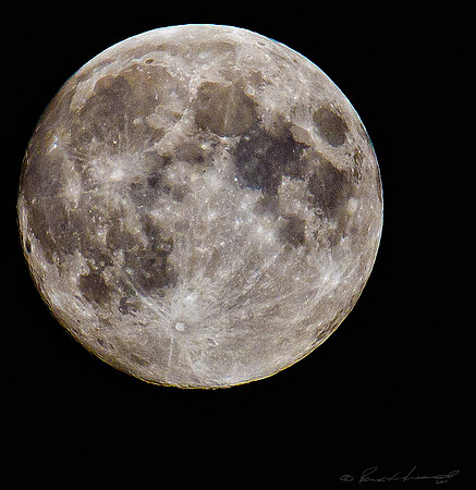 August Moon