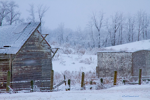 Little Shed on the Prairie