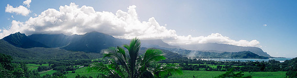 Kauai - 21