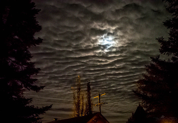 There's A Moon Out Too-oo-ni-ee-ight!