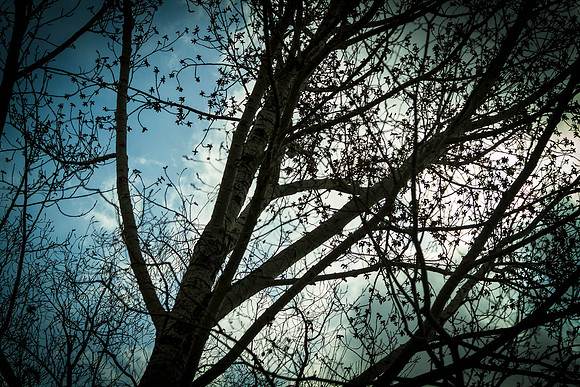Day 121 - Apr 30: Flu Day 5 - Better Days
