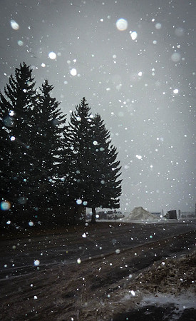Day 10 - Jan 10: Winter Rain