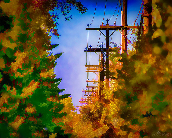 Fall Done Fell