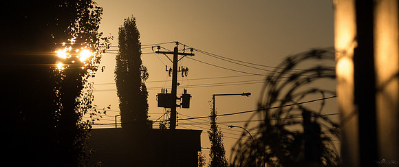 Silhouette at Daybreak