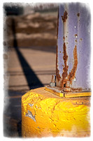 2012 Project 365