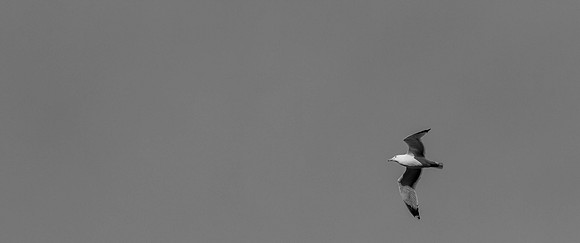 Day 111 - Apr 20: Nothing But Clear Skies