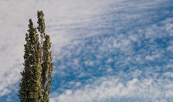 Day 150 - May 29: Ya Gotta Love Clouds