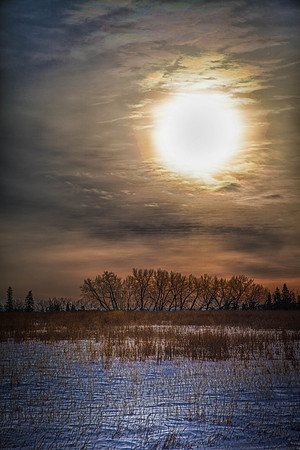 Day 28 - Jan 28: One Big Sun