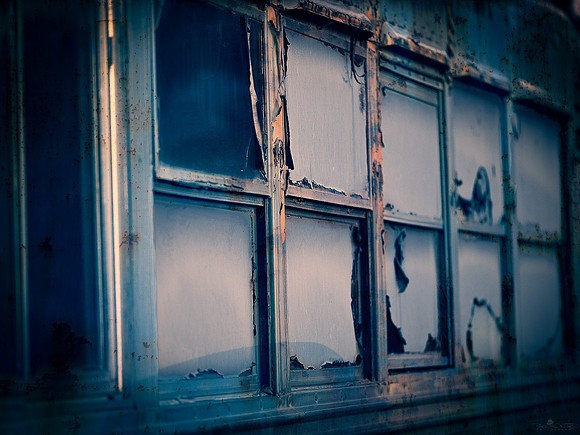 The Windows on the Bus