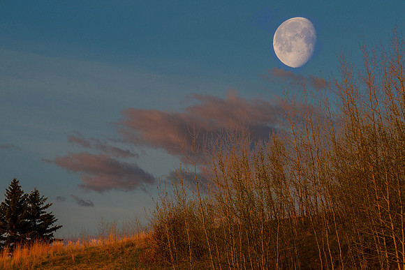 Day 130 - May 9: Morning Moon