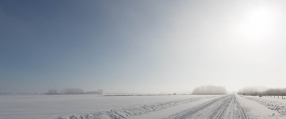 Move Toward the Light
