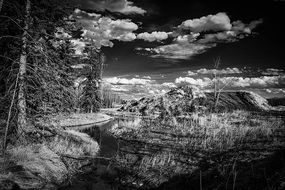 Day 114 - Apr 23: Some Clouds Rolled In