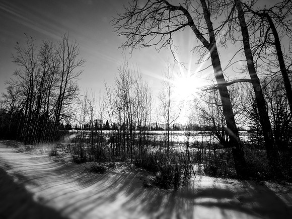 Life Isn't Black and White