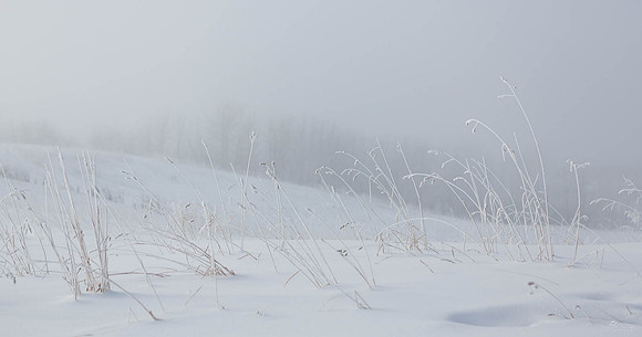 White on White on White
