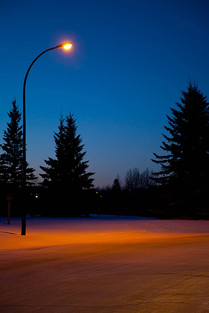 Day 19 - Jan 19: Shine On