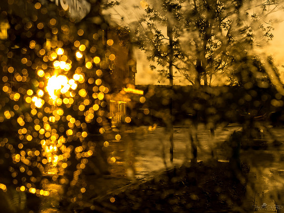 Spring Showers