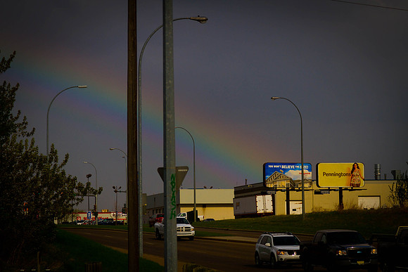 Day 137 - May 16: Leading Me Home