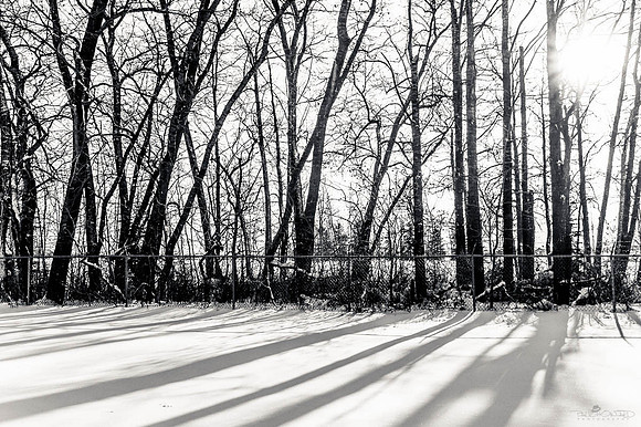 Is the Snow Really Whiter on the Other Side of the Fence-