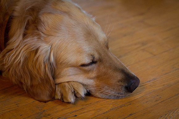 Day 112 - Apr 21: Some Days Are Just Too Tough