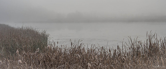 In A Fog