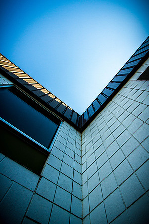 Day 40 - Feb 9: Brought to You By the Letter 'V'