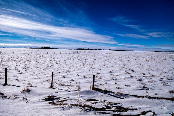 Day 64 - Mar 4: Am I Bluuuue?