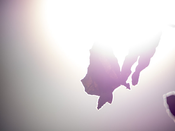 Into the Sun