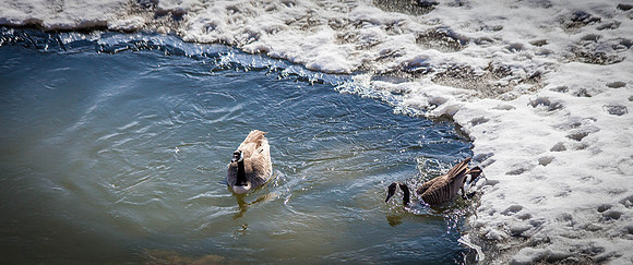 Day 79 - Mar 19: A Morning Dip