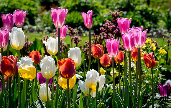 How Do We Know It's Spring