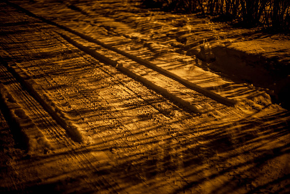 Day 53 - Feb 22: Not the Yellow Brick Road