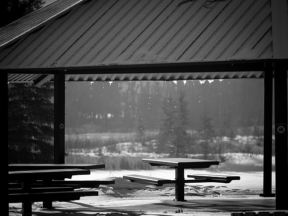 This Is What Spring Might Look Like