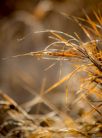 A Touch of Frost